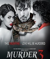 MURDER 3 (2013)