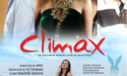 Climax (2013)