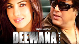 Deewana Main Deewana (2013)