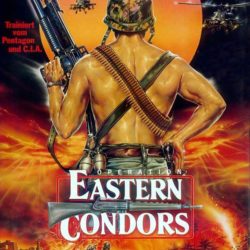 Eastern Condors (1987)