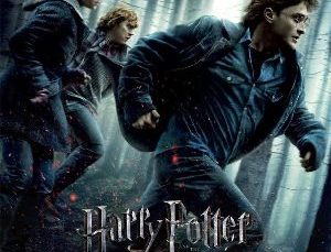 Harry Potter and the Deathly Hallows – Part 1 (2010)