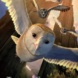 Legend of the Guardians The Owls of Ga Hoole (2010)