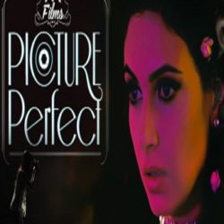 Picture Perfect (2014)
