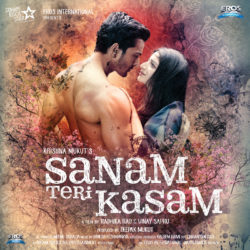 Sanam Teri Kasam (2016)
