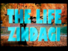 The Life Zindagi