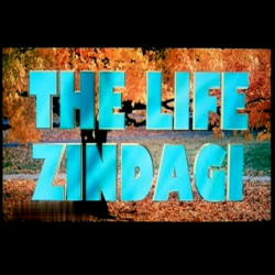 The Life Zindagi