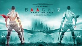 Baaghi 2 (2018)